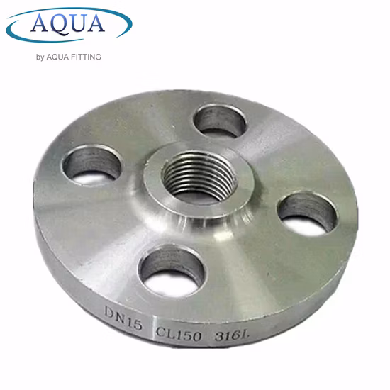DIN Stainless Steel 304 316 4inch 8inch Thread Threaded Pipe Flange