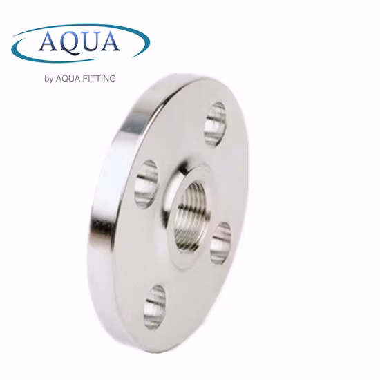 DIN Stainless Steel 304 316 4inch 8inch Thread Threaded Pipe Flange