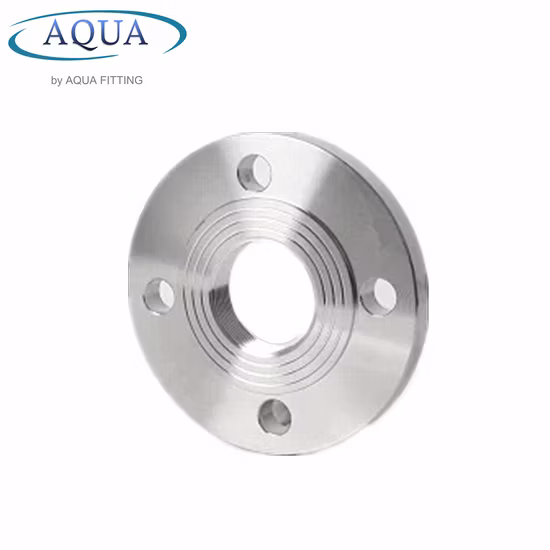 DIN Stainless Steel 304 316 4inch 8inch Thread Threaded Pipe Flange