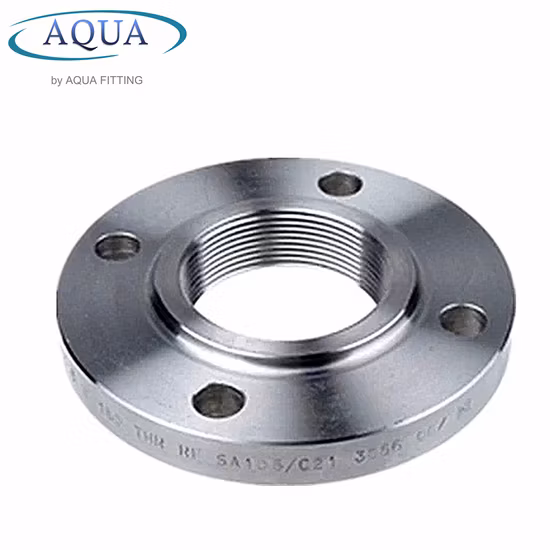 DIN Stainless Steel 304 316 4inch 8inch Thread Threaded Pipe Flange