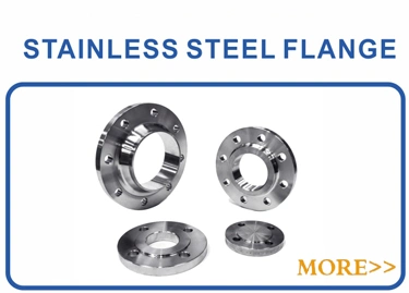 ANSI B16.5 F316/L 201 304 Forged Blind Flange Slip on Flange Raised Face Stainless Steel Blind Flange