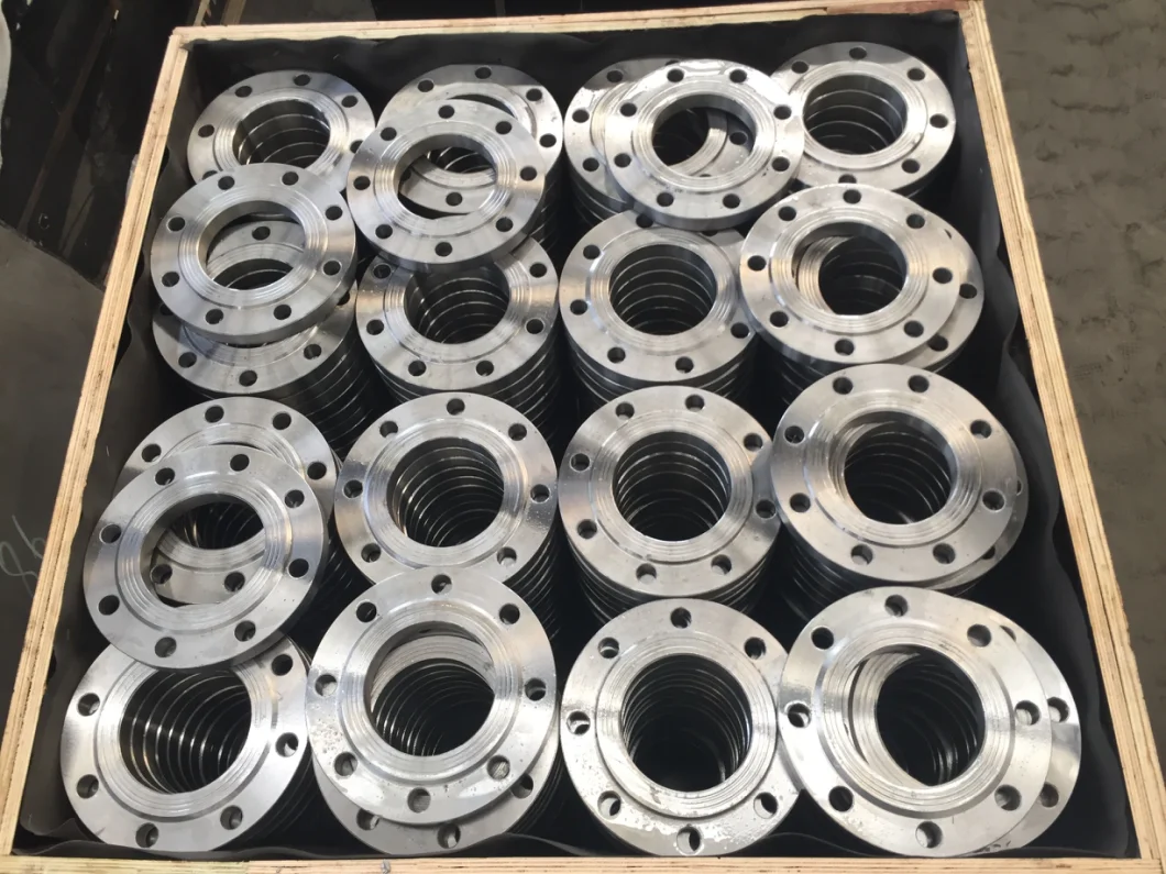 ANSI/GOST/DIN/JIS 12820/12821 Slip on /Plate Flanges