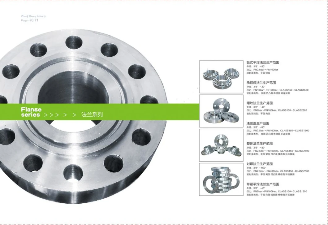 ANSI/DIN/GOST/En RF/FF A105/304L/316L Weld Neck/Slip on/Blind Forged Steel Pipe Flange