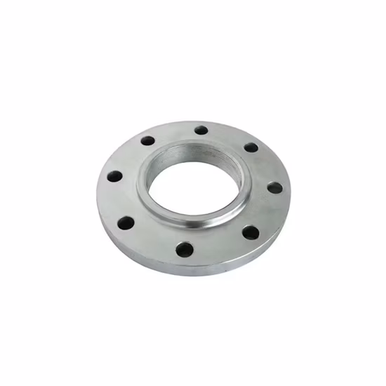 ASME DIN personalizza le flange weld neck forgiate in acciaio inossidabile