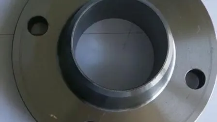 Flange filettate in acciaio al carbonio DIN 2566 con flangia TH forgiata pressione Pn16 DN300