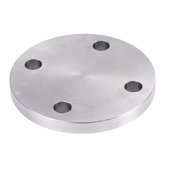 Flangia lap joint in acciaio inox